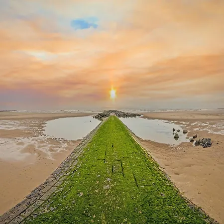 Charming With Sea View Lejlighed